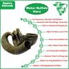 Water Buffalo Horn-100% Natural;  Long-Lasting;  Grain-Free;  Gluten-Free;  Dog Dental Treats & Chews-2 COUNT-15 oz